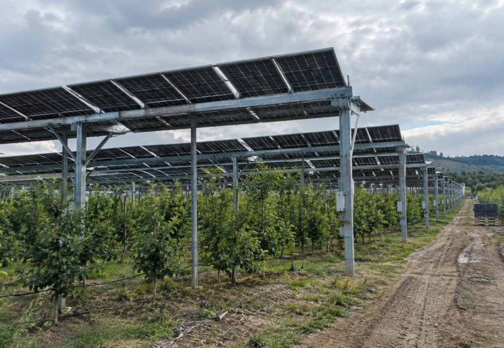 Impianto agrivoltaico da 92 kWp su frutteto in Toscana realizzato da Green Terrae